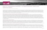 ESG in emerging markets: recognising the risks and opportunities … · ESG in emerging markets: recognising the risks and opportunities page - 1 Topic of the month February 2015