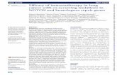 Efficacy of immunotherapy in lung cancer with co-occurring ... · Efficacy of immunotherapy in lung cancer with co-occurring mutations in NOTCH and homologous repair genes Marco Mazzotta,1