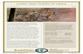 LIONS AND TIGERS OF INDIA · National Parks • Search for lions in Gir National Park • ... bandhavgarh n.p. the leopard. We challenge anyone to find a wildlife safari where you