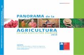 Panorama de la agricultura 2015 / Chilean agriculture ... · AGRICULTURA 2015 CHILEAN AGRICULTUR E OVERVIEW ODEPA Oficina de Estudios y Políticas Agrarias Office of Agricultura Policies,