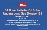 SA Storage Presentation...• Lowest cost deliverability available to gas industry (gas plant outages, price arbitrage, etc) Innovative Energy Consulting Pty Ltd 18 Benchmarking –