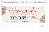 THE WALLONIA REGION OF BELGIUMubmasiafiles.com/files/beauty/ca2015/website/2015... · The cosmetic brand Nadine SALEMBIER celebrates in 2014 its 50 years of success. With a range