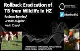 Rollback Eradication of TB from Wildlife in NZ · 2020. 2. 11. · Prob. TB eliminated • Disease history • Control history • Decision tree. Click to add title PoF Framework