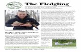 The Fledgling - Southern Adirondack Audubon Society · Southern Adirondack Audubon Society (SAAS), a certified local chapter of the National Audubon Society, has more than 530 members