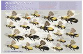 Bombus your garden. The sizes of the bees on the poster ...€¦ · The sizes of the bees on the poster are relative. The size of adult bumble bees is entirely dependent upon the
