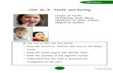 Unit 6L.4: Teeth and Eating - WordPress.com · 02/10/2011  · Teeth and eating Brush your teeth in the correct way shown above. Visit your dentist regularly, every 6 months. The