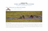 The Distress in Rural India Distress in Rural India.pdf · The Distress in Rural India ANIL KUMAR VADDIRAJU Women work in a paddy field on the outskirts of Guwahati, India, Monday,