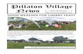 Pillaton Village News · 2020. 8. 24. · Pillaton Village News No. 190 July 2017 Since the last newsletter we’ve had an inconclusive general election result and there are now endless