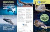 Experience the largest screen in ... - New England Aquarium · Aquarium Plaza during summer months) offer a variety of family-friendly u nch opt is, d g burgers, salads, sandwiches