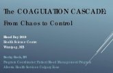 The COAGULATION CASCADE - Best Blood · 2019. 2. 11. · The COAGULATION CASCADE: From Chaos to Control. Blood Day 2018. Health Science Centre . Winnipeg, MB. Becky Rock, RN. Program