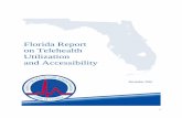 Florida Report on Telehealth Utilization and Accessibility · 2016. 12. 29. · some examples do exist. • Many providers reported a lack of detailed knowledge about telehealth services,