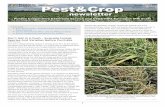 Don’t Get In A Rush – Evaluate Forage Species And ......Don’t Get In A Rush – Evaluate Forage Species And Varieties Before Purchase ... that need to be made. Crop scouting