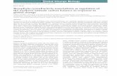 REVIEW Bryophyte-cyanobacteria associations as regulators ...publish.uwo.ca/~zlindo/Publications1/Lindo et al 2013 GCB.pdf · REVIEW Bryophyte-cyanobacteria associations as regulators