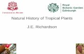 Natural History of Tropical Plants J.E. Richardsonenvironmentalomics.org/wp-content/uploads/2018/06/... · Theobroma cacao Theobroma cacao Theobroma simiarum Herrania purpurea Theobroma