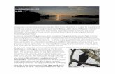 School of Computer Science | University of Adelaideianr/Birding/Reports/Borneo2014.pdf · Author: ian Created Date: 2/23/2015 7:06:01 PM