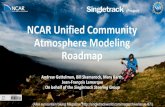 NCAR Unified Community Atmosphere Modeling (Project) Roadmap · 2018. 7. 31. · Singletrack Purpose Develop a strategic vision and roadmap to unify and improve community atmospheric