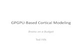 GPGPU Based Cortical Modeling - courses.csail.mit.educourses.csail.mit.edu/18.337/2012/projects/ted_hilk_slides.pdfExisting GPGPU Cortical Modldeling Frameworks • Very few examples,