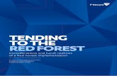 TENDING TO THE RED FOREST - Cyber security solutions for ... · compromised with relative ease during a penetration test. In the context of an enterprise security strategy, it’s