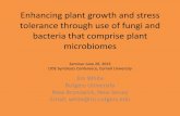 Enhancing Plant Growth and Stress Tolerance through Use ......Enhancing plant growth and stress tolerance through use of fungi and bacteria that comprise plant microbiomes Seminar