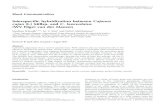 Interspeciﬁc hybridization between Cajanus cajan (L.) Millsp. and …oar.icrisat.org/7080/1/PGR_1-4_2013.pdf · 2013. 8. 29. · Sateesh Kumar (1985) reported that F 1 hybrids died