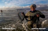 © OCEANA | Melissa Forsyth...OCEANA APPROACH T he amount of fish caught from the oceans began declining — for the first time in recorded history — just a few decades ago. That