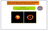 H/He burning reactions on unstable nuclei for Nuclear ...crunch.ikp.physik.tu-darmstadt.de/hirschegg/2015/... · Elemental abundances in novae ejecta J. José, M. Hernanz, C. Iliadis.