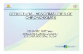 STRUCTURAL ABNORMALITIES OF CHROMOSOMES ......Clinical implications of numerical and structural chromosomal abnormalities: • If the disorder is clinically demonstrated with structural