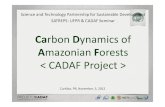 Ca rbon Dynamics of Amazonian Forests < CADAF Project >cadaf.inpa.gov.br/arquivos pdf/apresentacao_cadaf... · About the UN-REDD Programme The UN-REDD Programme is the UN Collaborative