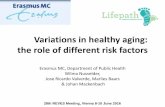 Variations in healthy aging: the role of different risk ... · Jose Ricardo Valverde, Marlies Baars & Johan Mackenbach. 28th REVES Meeting, Vienna 8-10 June 2016 . SES variations