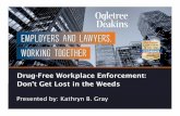 Drug-Free Workplace Enforcement: Don't Get Lost in the ... · ADA Considerations for Medical Marijuana Users No duty to accommodate illegal drug use Recovering addict provisions But,