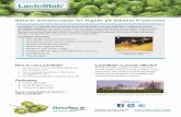 Natural Antimicrobial for Higher pH Ethanol Production · 2019. 5. 29. · Pump more proﬁ t per bushel… with LactoStab® 5185 MacArthur Blvd., Suite 300 T: 202-777-4827 F: 202-777-4893