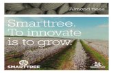 Almond trees Smarttree. To innovate is to grow. · 2020. 2. 18. · almond orchards. They involve a remarkable reduction in plantation, orchard management ... The interior of the