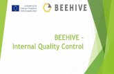 BEEHIVE Internal Quality Controlbeehive-erasmusplus.eu/...Internal-Quality-Control... · Quality Control Workshop Evaluation. WP7 Quality Assurance and Evaluation Final Internal Quality