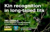 Kin recognition in long-tailed tits - Baker 2017. 7. 31.آ  Kin recognition in long-tailed tits AMY LEEDALE1