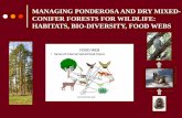 Managing Southwestern Forests...2017/06/29  · Ponderosa pine and dry mixed-conifer forests are often referred to as frequent-fire forests because of: • Characteristic frequent