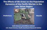 The Effects of Ski Areas on the Population Dynamics of the ...tahoescience.org/wp-content/uploads/2012/06/Slauson-Keith-present… · Sierra At Tahoe Ski Area Homewood Ski Area Pre-development
