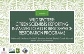 Wild Spotter: Citizen scientists reporting invasives to ... · •Mountain Fire Lookout Station •Natural History Auto Tour •Lakewood Auto Tour •Franklin Lake Campground •Lake