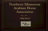 Northern Minnesota Arabian Horse Association · 2013 Membership had 50 members a decline being experienced throughout AHA membership 2014 Royalty Program was started: Rachel Temp