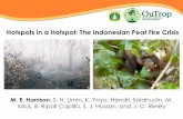 Hotspots in a Hotspot: The Indonesian Peat Fire Crisis...Indonesia: huge peat areas, high value •Indonesia peatland area: 206,950 km2 •Indonesia peat carbon: 57.4 Gt •Sabangau-Kahayan