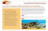 CDKN ESSENTIALS€¦ · Trouble in paradise: New initiative transforms tourism in Belize and its threat to the environment Climate change threatens coastal ecosystems around the world.