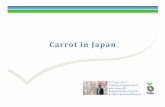 Carrot in Japan Takahiro Kumano web - Bejo Corporate€¦ · Fresh Price Trend 000 550050 110000100 115500150 220000200 225500250 330000300 335500350 0000 1.00011..0000001.000 2.00022..0000002.000
