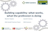 Building capability: what works, what the profession is doing · profession Underpinned by learning and development opportunities from formal to informal Different skills' families