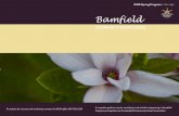 Bamfieldbamfieldcommunity.ca/wp-content/uploads/2016/01/bcsa-spring-pro… · To register for courses and workshops contact . the BCSA office 250-728-1220. 2016 Spring Program | Jan-Apr.