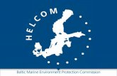 Alternative Fuels for Sea Region - GoLNG Bakhtov.HELCOM.pdf · • HELCOM eport on – r Alternative Fuels for Shipping in the Baltic Sea Region • Green Team-2 meeting – Turku,