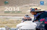 2014 - UNDP · Issues such as climate change, air pollution, biodiversity loss, unsustainable fishing, and desertification of land, amongst others, all have profound impact on sustainable