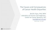 The Causes and Consequences of Cancer Health Disparities · Cancer Health Disparities: Second cancers African Americans also have a higher risk of certain second cancers Site-specific
