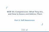 MDE SEL Competencies: What They Are, and How to Assess and ... · Self-Awareness 1A. Demonstrate an awareness of their emotions 1B. Demonstrate an awareness of their personal traits,
