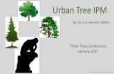 Urban Tree IPM - Think Trees New Mexico€¦ · Integrated Pest Management (IPM): Is a sustainable approach to managing pests by combining. biological, cultural, physical and chemical