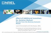 Effect of Additional Incentives for Aviation Biofuel · Presentation for the Public Working Meeting to Discuss ... • Alicia Lindauer and Zia Haq, DOE project managers who have ...