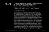 18 Commenting with Camtasia: A Descriptive Study of the ... cast feedback in peer-to-peer feedback.